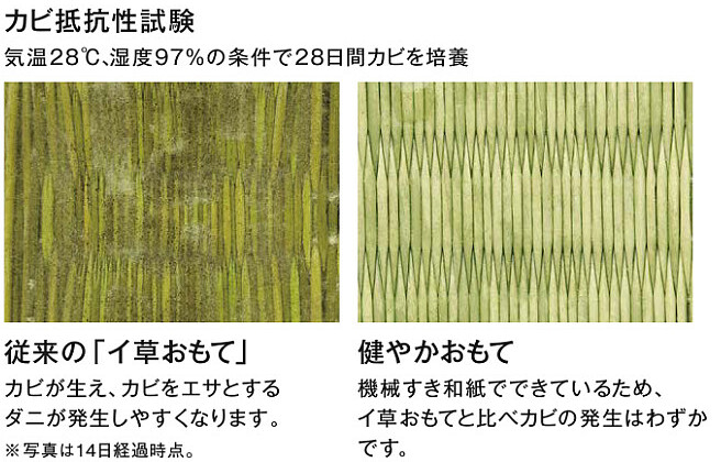 ダイケン健やかおもて 試験結果１