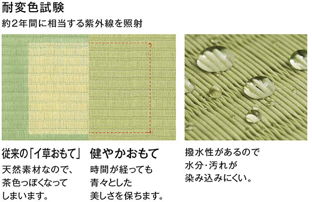 ダイケン健やかおもて 試験結果２