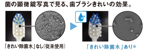 きれい除菌水②